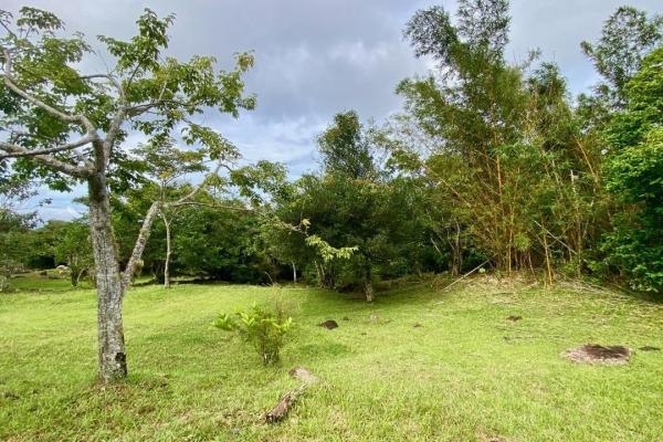 Mountain finca in chica