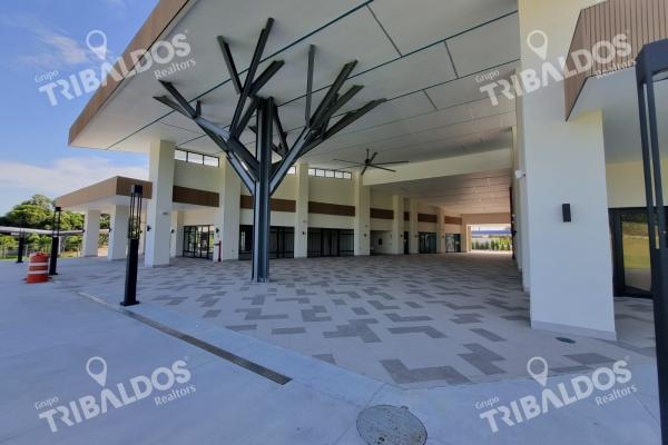 Alquiler de locales comerciales en mi plaza coronado