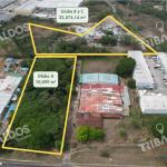 Land for sale on tocumen road