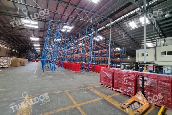 Bodega en la locería, vía ricardo j. alfaro