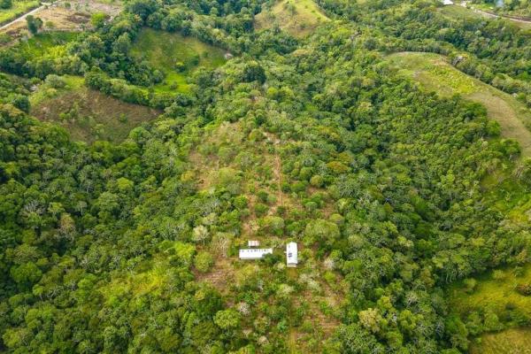 Finca cafetalera en venta en potrerillos arriba