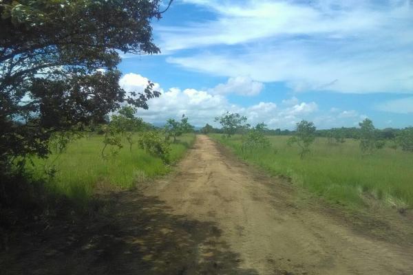 43 hectare plot of land in el espino, anton, cocle