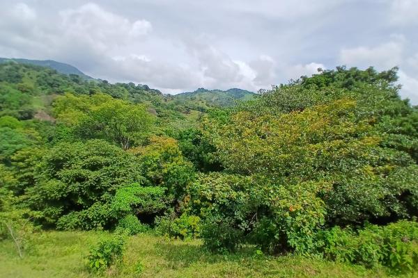 Sale of land 116 acres in san miguel, pacora river