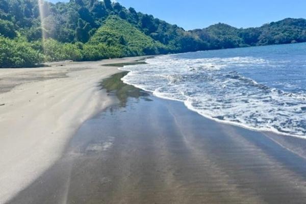 Santuario de 67 hectáreas frente al mar en arena, veraguas