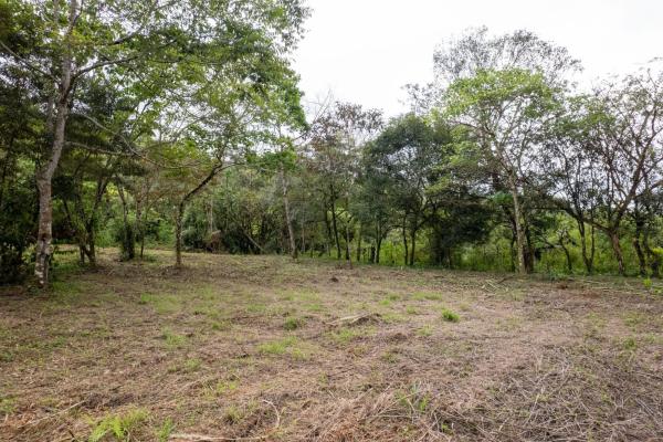 Spring-fed lake & 10 hectares for sale in rovira d