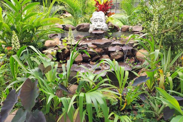 San carlos oasis: 4br house, guest house & pool