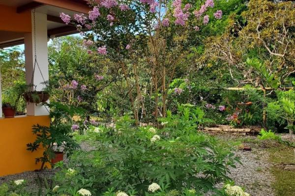 Furnished home for sale in dolega with gardens