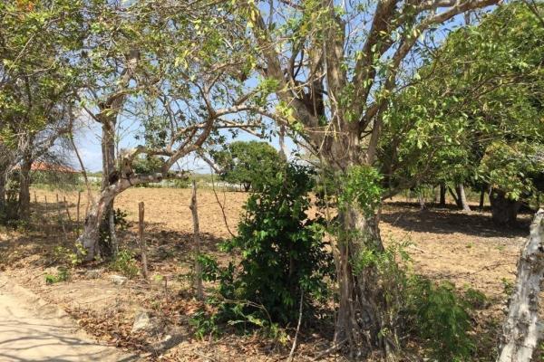 Venta de terreno en rio hato (coclé)