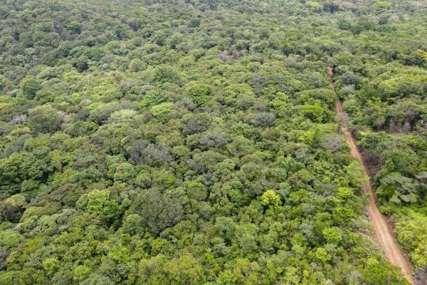 Land for sale in cerro azul