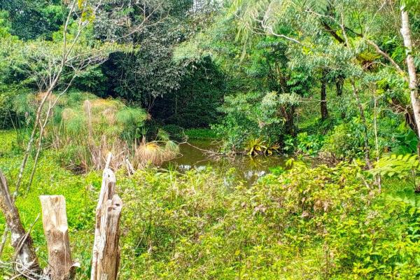 Finca en santa rosa para ganadería y agricultura