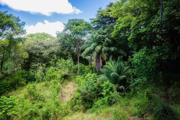 Expansive land for sale in las lomas, david