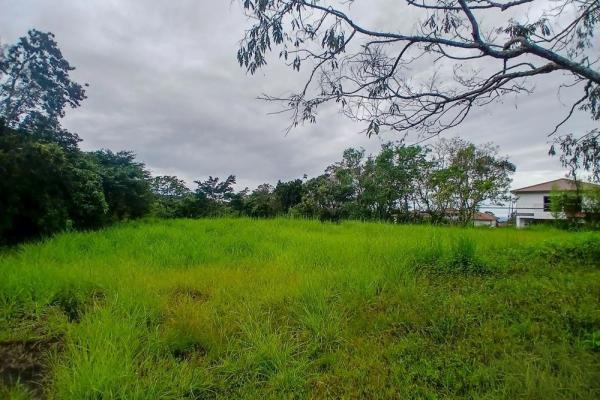 Amplio terreno plano de 9.229 m² en alto boquete
