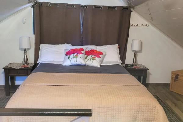 Home plus 2 apartments and casita for sale