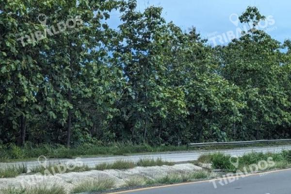 Venta de finca en la ermita