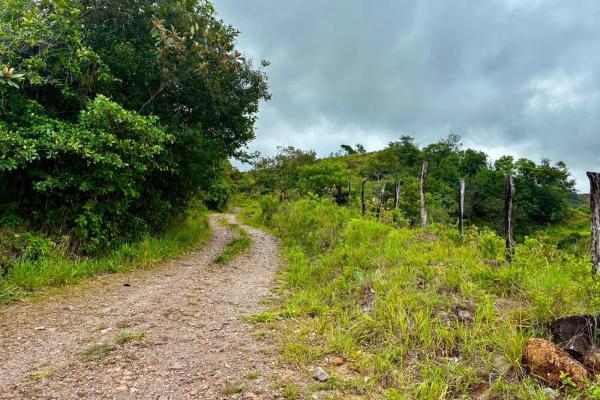 Se vende hermosa finca de 16+ hectareas en jaramillo, boquete