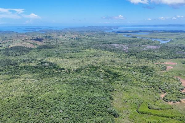 Commercial property in boca chica