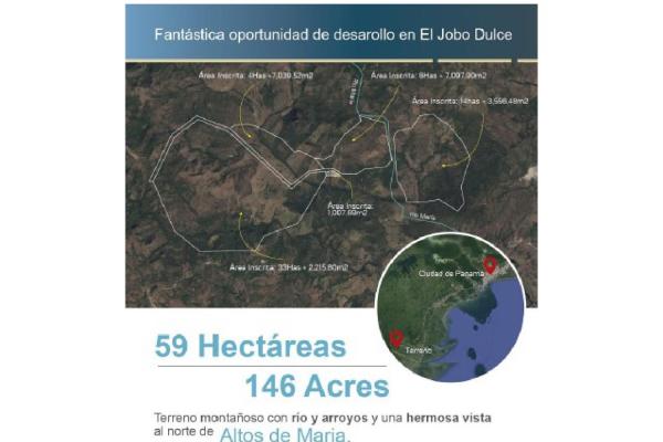 El jobo — terreno de desarrollo frente al río