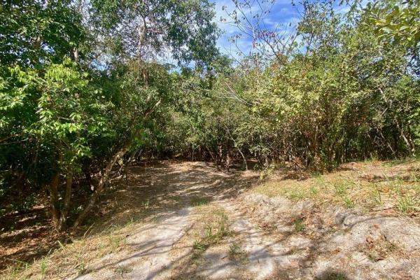 Finca de 4.3 hectareas – proyecto ideal comunidad