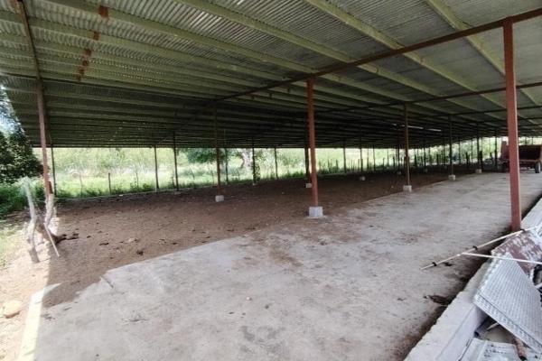 Granja de 13.6 ha con casa, galeras y río en natá, coclé