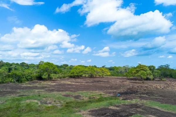 Terreno de 8 hectáreas en venta con acceso a la carretera panamericana.