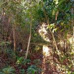 Globo de terreno villa rosario