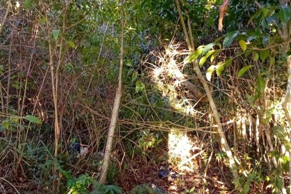 Globo de terreno villa rosario