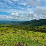 Se vende hermosa finca de 16+ hectareas en jaramillo, boquete