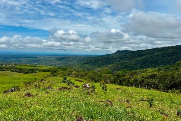 Se vende hermosa finca de 16+ hectareas en jaramillo, boquete