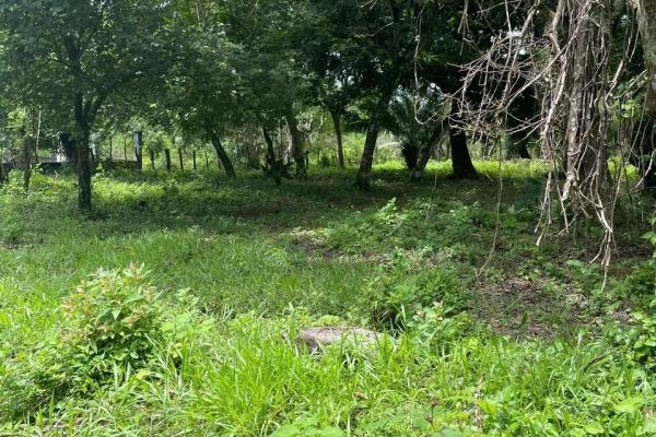 Three plots of land for sale near dolega, boquete
