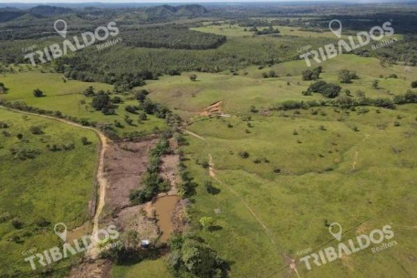 Se vende finca ganadera en margarita de chepo