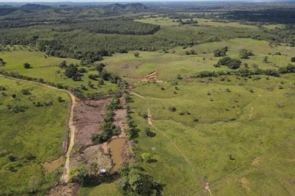 Venta de finca margarita chepo 200 has
