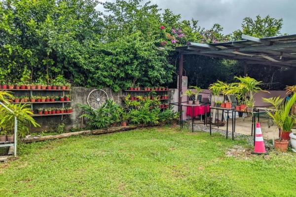 Roadside property with 2,906 m² in dolega