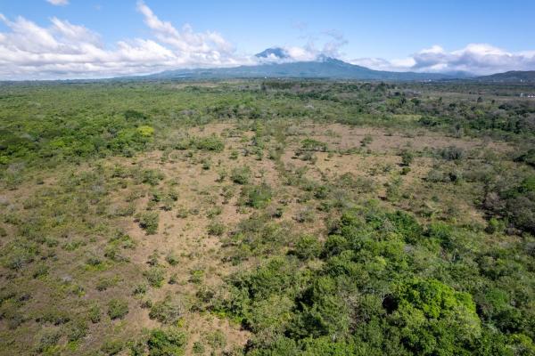 15 hectares fertile land potrerillos, chiriqui