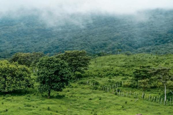 11 hectares land for sale in caldera boquete
