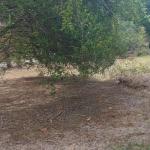 Venta terreno en playa santa clara