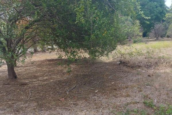Venta terreno en playa santa clara