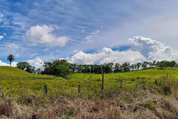 Amplia propiedad de 146.652 ha con fuentes de agua