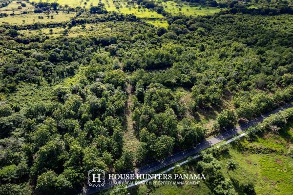 Terreno urbanizable de 11 hectáreas en venta - bagalá, panamá