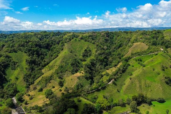 Amplia propiedad de 146.652 ha con fuentes de agua