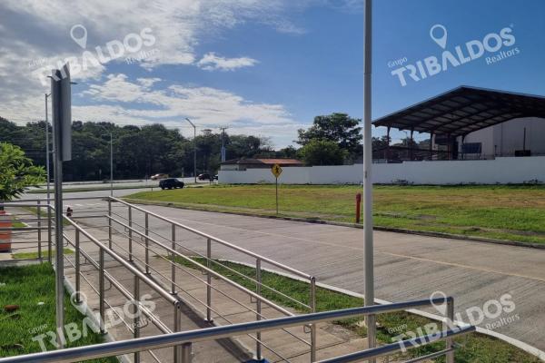 Rental of commercial spaces in my coronado plaza