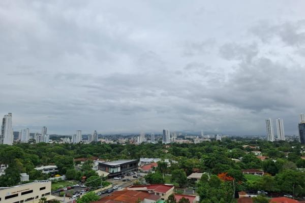Apartment rentals ph park loft