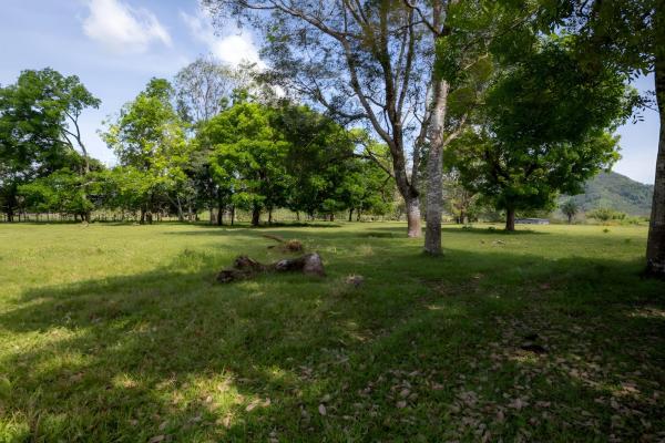 Four hectare property for urbanization in david