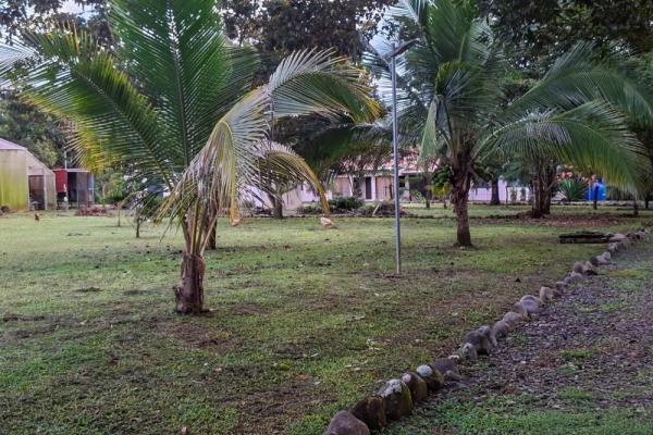 Riverfront home with greenhouse in dos rios