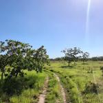 Terreno de 43 hectareas en el espino, anton, cocle