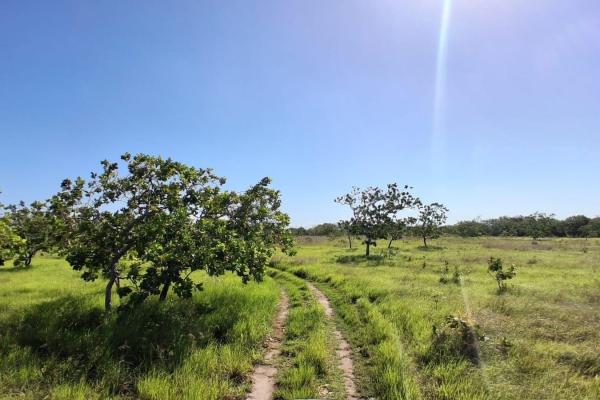 Terreno de 43 hectareas en el espino, anton, cocle