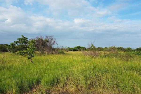 Terreno de 43 hectareas en el espino, anton, cocle
