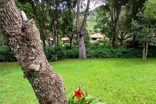 Beautiful park property in high-altitude location