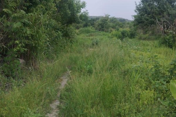 Terreno 5.4 ha en coloncito de nueva gorgona.
