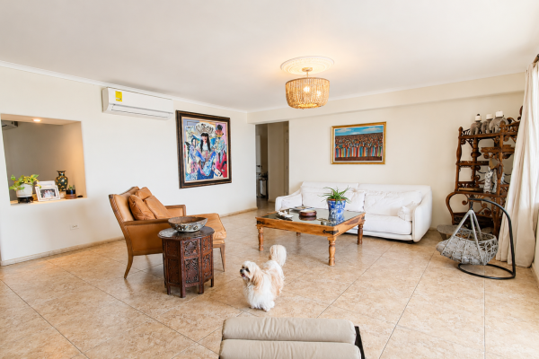 Apartamento en venta en punta paitilla