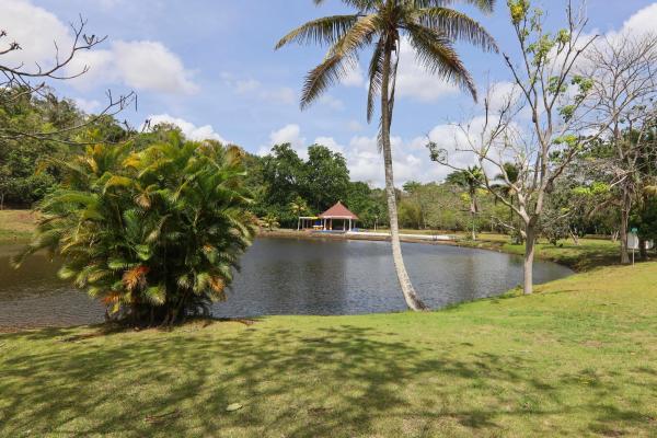 Brisas de los lagos in chorrera for sale and rent